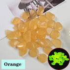 Orange / 100PCS