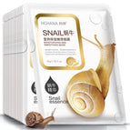 snails