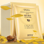 snail