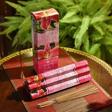 20 Sticks India Coconut Incense Stick Sandalwood Household Bedroom Toilet Toilet Agarwood Tibetan Line Aromatherapy for Home