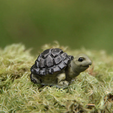 Tortoise Statue For Garden Outdoor Micro Landscape Yard Garden Decor Miniature Resin Garden Statues jardineria ecoracion