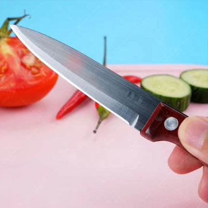 Professional Chef Knife Fruit Knife Kitchen Barbecue Knife Peeling Anti-rust Anti-stick Plastic Kitchen Knives and Accessories