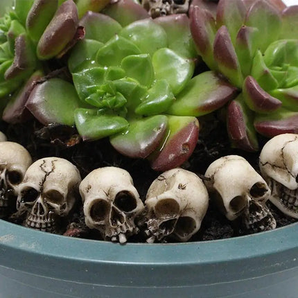 20 Pieces Mini Skulls Decor Skeleton Heads Realistic Skeleton Skulls Crafts Decoration For Flower Pot Home Halloween Decoration