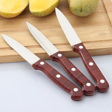 Professional Chef Knife Fruit Knife Kitchen Barbecue Knife Peeling Anti-rust Anti-stick Plastic Kitchen Knives and Accessories