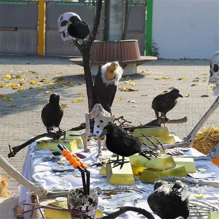 1-12PCS Simulation Halloween Crows Animal Model Halloween Crows and Ravens Decor for Halloween Party Home Decoration Supplies