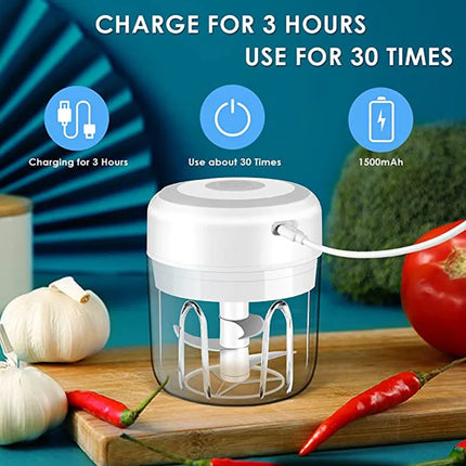 100/250ml Electric Garlic Masher Mini Chopper Vegetable Chili Meat Ginger Masher Machine USB Charging Blenders Kitchen Gadgets