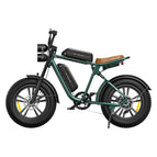 Dual Batteries-Green / United States