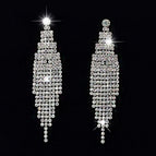 Earrings 19