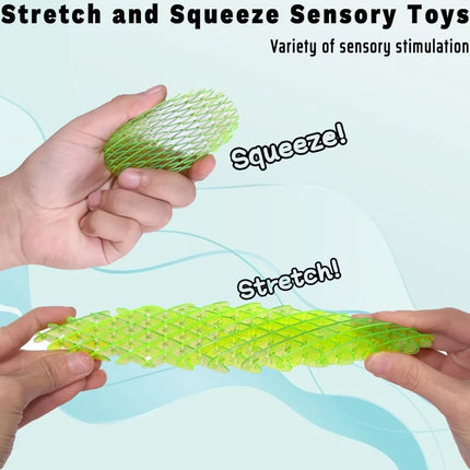 Elastic Fidget Worm, Stretch and Squeeze Sensory Toys for Kids, Stress and Anxiety Relief Calming Fidgets Desk Toys for Adults