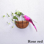 rosered / 25 cm