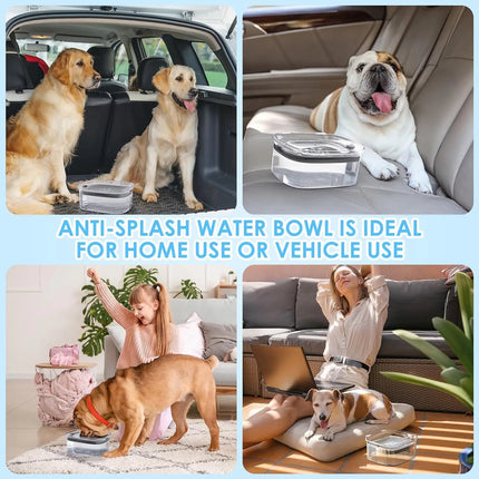 2L Spill Proof  Pet Dog Cat Water Bowl Reduce Refill, Anti Splash No Mess Dispenser Dripless Slow Drinking Water Bowl