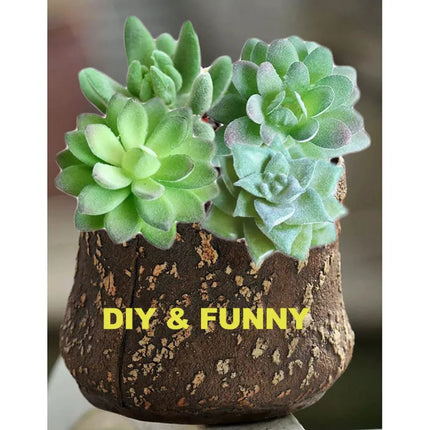 11pcs/set Artificial Succulents Fake Faux Flowers Mini PVC Simulated Floral Plants Craft DIY Accessories Home Office Decor