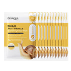 12pcs snail