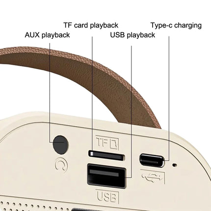 K12 Bluetooth Wireless Portable Speaker Multi-function Karaoke with 1-2 Microphone Music Player Karaoke Machine For Kids Adults