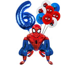 Balloon Set 6-20pcs / Other