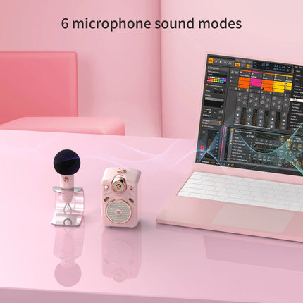 Divoom Fairy-OK Retro Mini Karaoke Speaker with Microphone Karaoke Function with Voice Change, FM Radio, TF Card