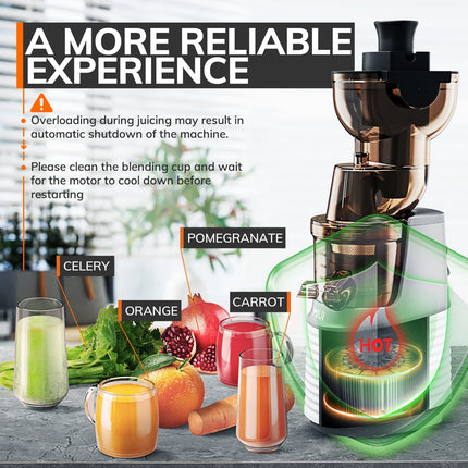 MIUI Slow Juicer New FilterFree Electric Cold Presses with Stainless Steel strainer (FFS6),Rated power 250W, Modle-Professional