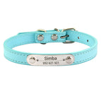 Light Blue / XXS (17-22cm)