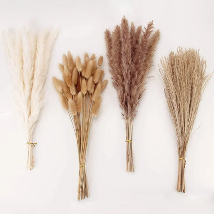 50Pcs Fluffy Pampas Dried Flowers Bouquet Home Decor Natural Bunny Rabbit Tail Grass Artifical Flower Wedding Party Decoration