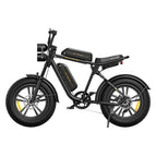 Dual Batteries-Black / United States