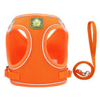 style B Orange / M (3-4.5kg)