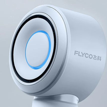 Flyco high-speed hair dryer household negative ion hair care big wind power quick-drying hair dryer