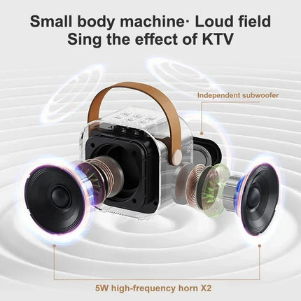 K12 Bluetooth Wireless Portable Speaker Multi-function Karaoke with 1-2 Microphone Music Player Karaoke Machine For Kids Adults