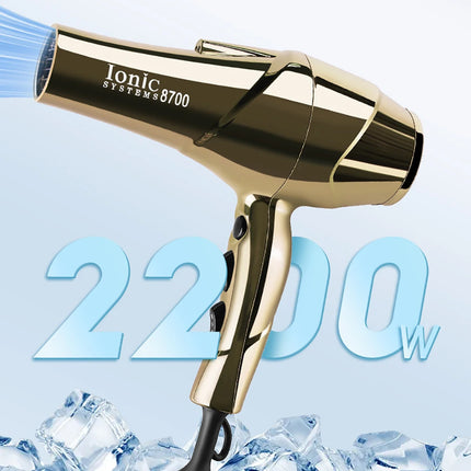 2200W Professional Hair Dryer Gold-plated Blowdryer for Salon High Speeds Strong Winds Powerful Wind 6 Gears Low Noise Blower