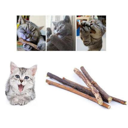 10/15/20 pcs/lot Catnip Stick Pet Cat Molar Toys Natural Wood Polygonum Sticks Cleaning Teeth Relieve Boredom Snacks Chews Toys