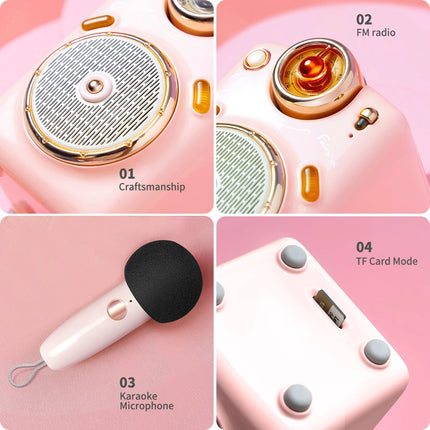 Divoom Fairy-OK Retro Mini Karaoke Speaker with Microphone Karaoke Function with Voice Change, FM Radio, TF Card