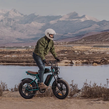 ENGWE 750W E-Bike Dual 48V Batteries 28MPH 150KM Range