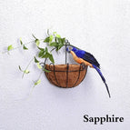 sapphire / 25 cm