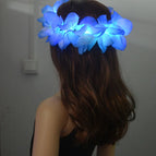 1pcs blue