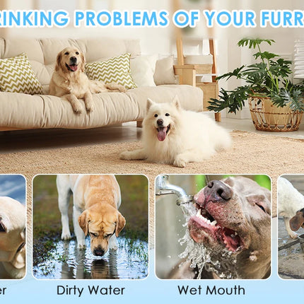 2L Spill Proof  Pet Dog Cat Water Bowl Reduce Refill, Anti Splash No Mess Dispenser Dripless Slow Drinking Water Bowl