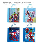 Paper Bag - 12pcs / Other