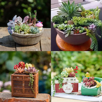 11pcs/set Artificial Succulents Fake Faux Flowers Mini PVC Simulated Floral Plants Craft DIY Accessories Home Office Decor