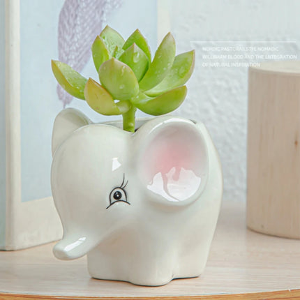 Cartoon Animals Ceramic Flowerpot Succulents Flower Pot Creative Home Garden Decoration Desktop Green Planters Small Bonsai Pots