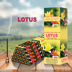 LOTUS / 25 small boxes / CHINA