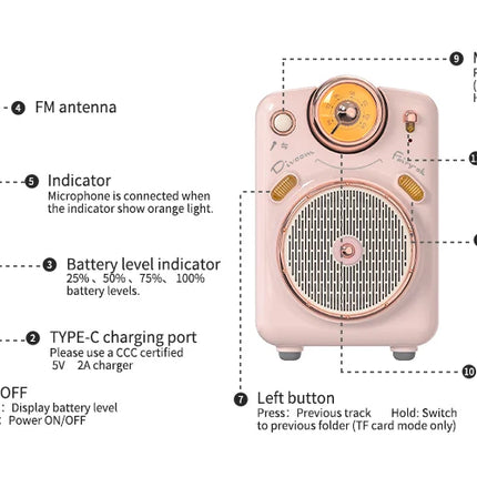 Divoom Fairy-OK Retro Mini Karaoke Speaker with Microphone Karaoke Function with Voice Change, FM Radio, TF Card