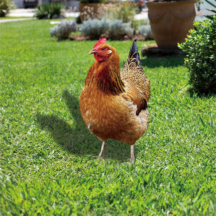 Garden Rooster Statue Chicken Sculpture For Yard Decor Weatherproof Hen Figurine For Patio Backyard Home Outdoor Decoration