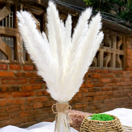 50Pcs Fluffy Pampas Dried Flowers Bouquet Home Decor Natural Bunny Rabbit Tail Grass Artifical Flower Wedding Party Decoration