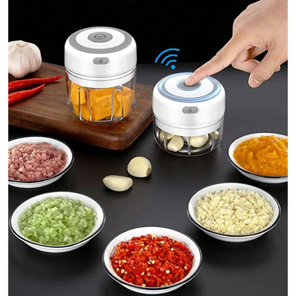 100/250ml Electric Garlic Masher Mini Chopper Vegetable Chili Meat Ginger Masher Machine USB Charging Blenders Kitchen Gadgets