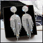 Earrings 22