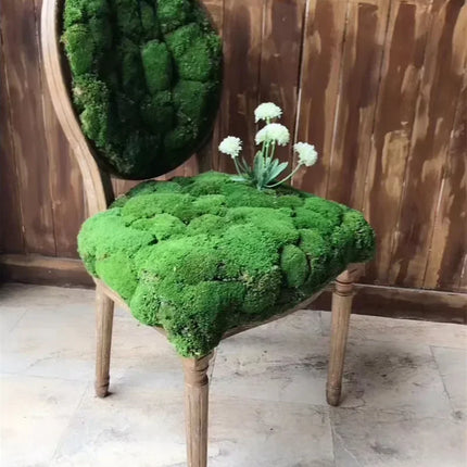 Artificial plant eternal life moss / Garden home decoration wall DIY Flower material Mini Garden Micro Landscape Accessories